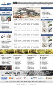 攜手共建 螞蟻娃娃電子商務網(wǎng)站建設方案